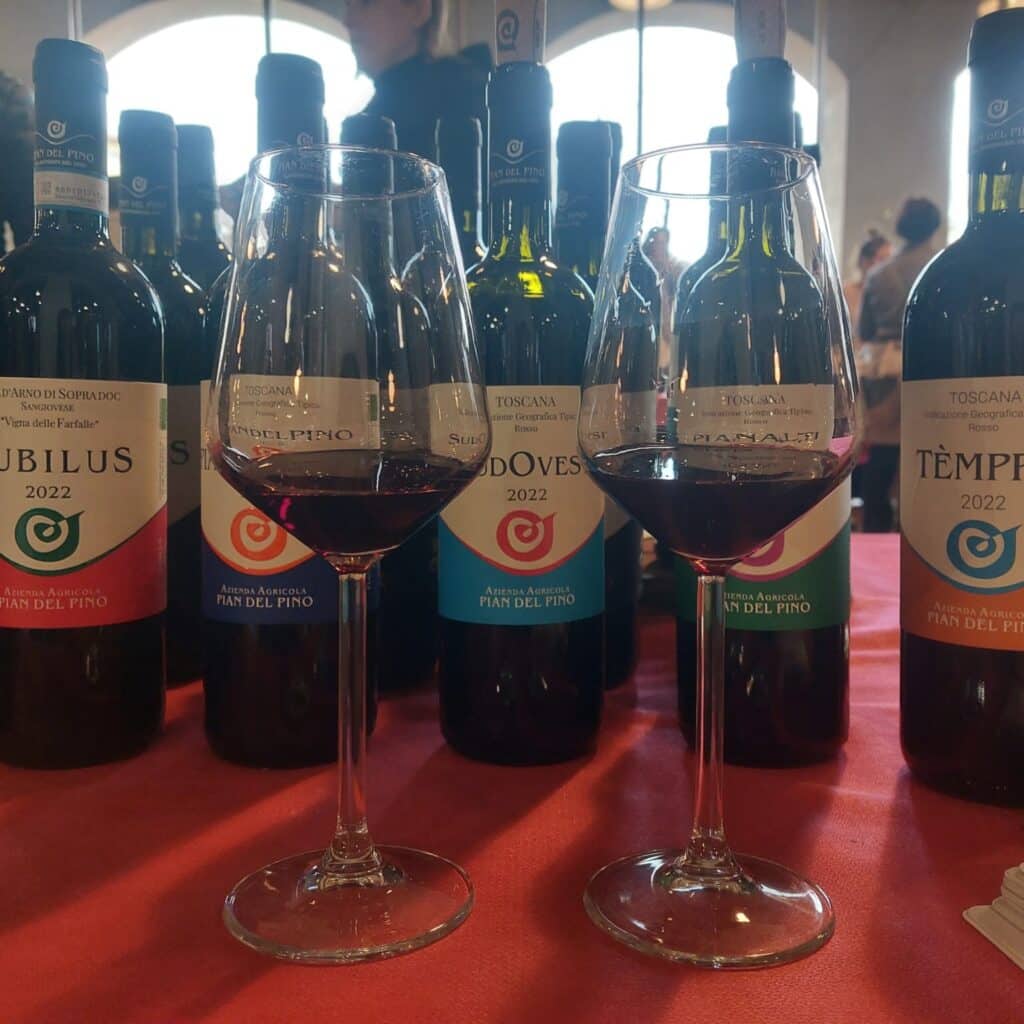 Vini bio-artigianali Pian del Pino in degustazione